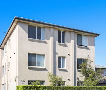 Renovated One Bedroom Apartment in Kingsford - Photo 1