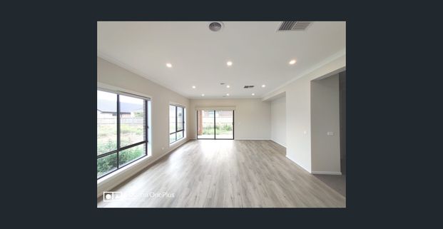 High Quality 4 Bedroom 2 Living Area House! - Photo 1