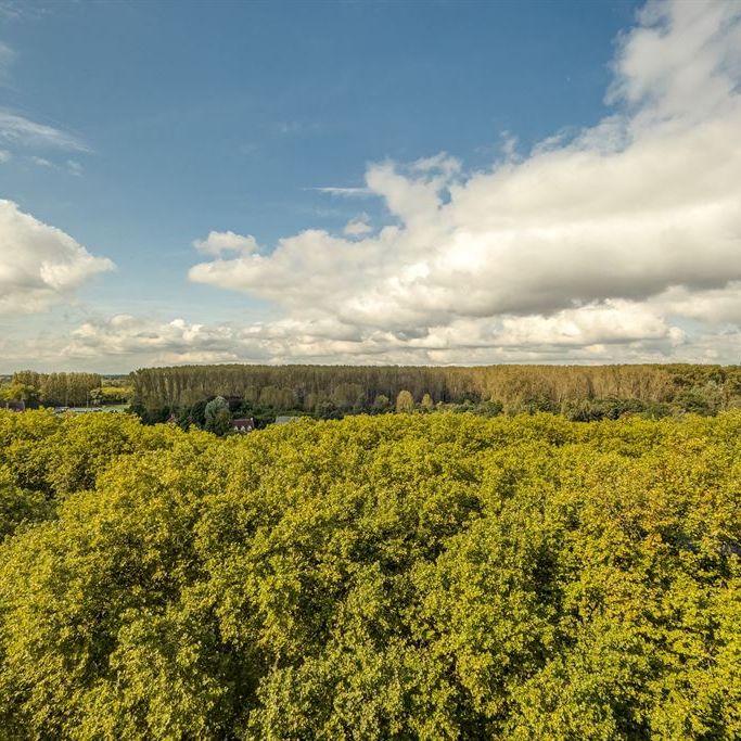 Verzorgd appartement op Linkeroever met panoramisch zicht, inclusief autostaanplaats - Foto 1