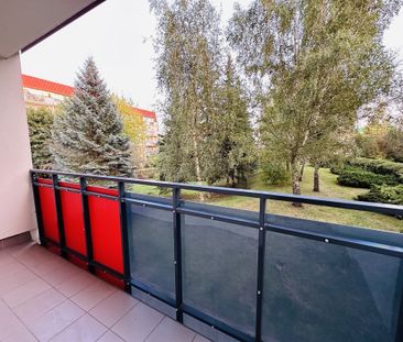 (Symbol 439805) - Photo 6