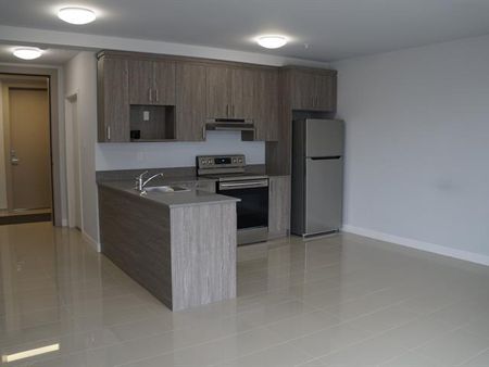 4925 Rue des Érables - Photo 2