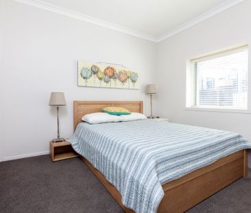 Property Management15 Nelson St, City Centre - Apartment for Rent - Photo 6