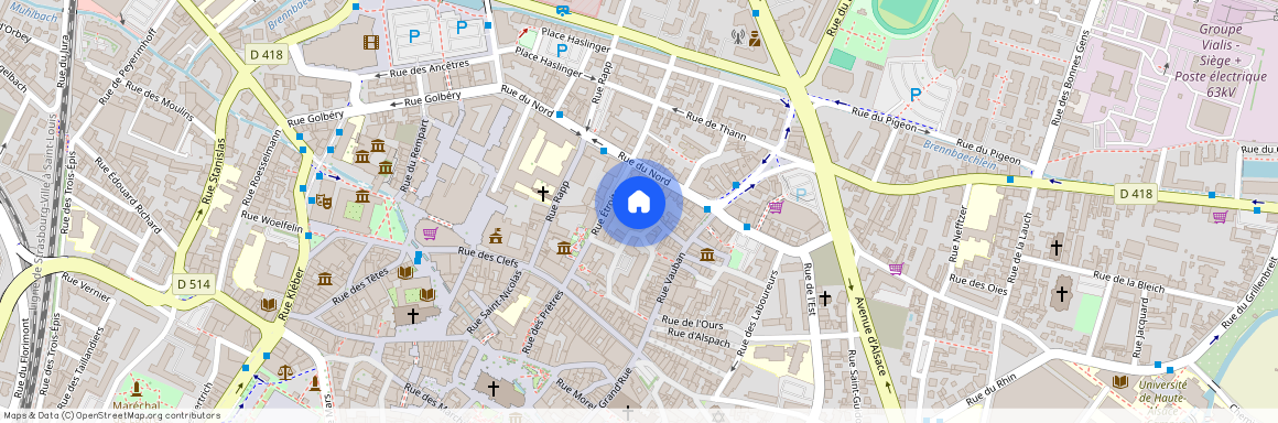 15 RUE RUEST, 68000, Colmar-Centre