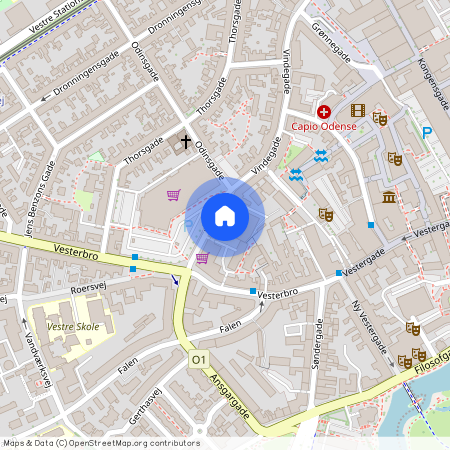 Vindegade 124F, 5000 Odense C