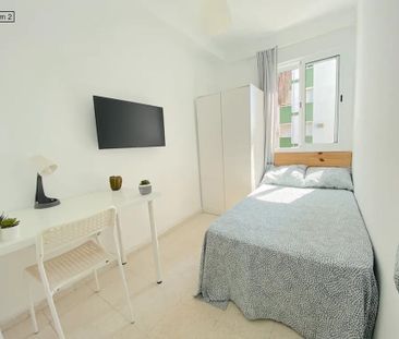 Plaza Gelo, Sevilla, Andalusia 41009 - Photo 2