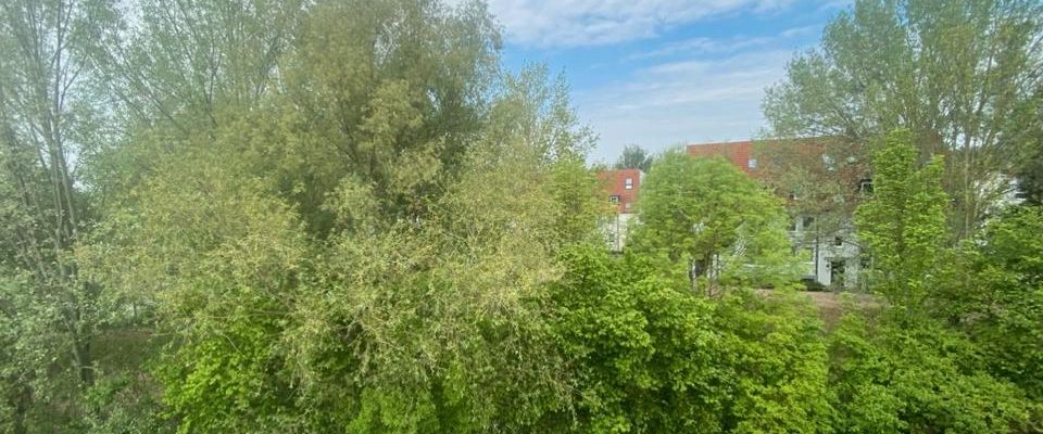 Renovierte 2-Zimmerwohnung im Hansapark 26 Magdeburg - Foto 1