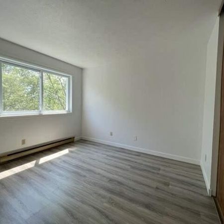 Appartement 1 chambre disponible dès maintenant à Longueuil - Photo 4