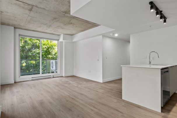 2198 Boul. De Maisonneuve E., Montréal (Ville-Marie), QC H2K - Photo 1