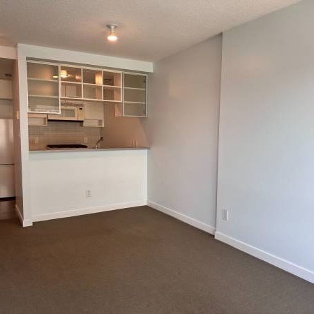 Modern 1 Bed, 1 Bath High Rise Condo with Parking for Rental - Photo 4