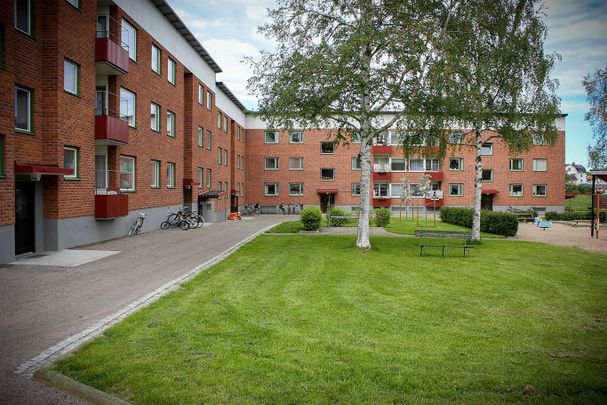 Hedhamregatan 12 D - Foto 1