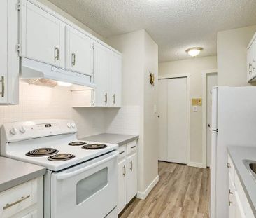 2 Bedroom - Photo 1