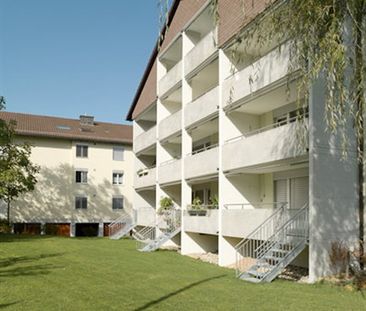 2.5 Zimmer, EG - Photo 6