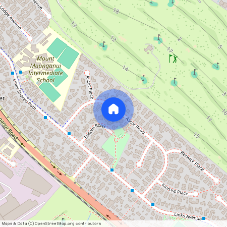 24 Ascot Road, Mt Maunganui