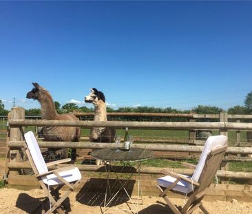 1 bedroom detached house to rent - Photo 4