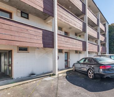 Easy Living in Mt Eden! - Photo 3