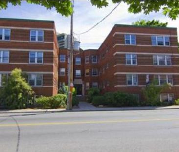 235 Charlotte St — Studio - unit 8 - Photo 4