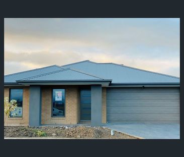 67 Ginger Crescent, Mickleham, Vic 3064 - Photo 5