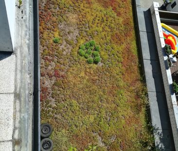 Révová 15, Prague - Photo 6