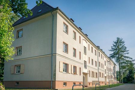 Großzügige 3-Raum-Wohnung in Schönau - Foto 3