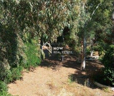 Διαμέρισμα 48 τ.μ. για ενοικίαση, Αττική - Υπόλοιπο, Μαρκόπουλο - Photo 3