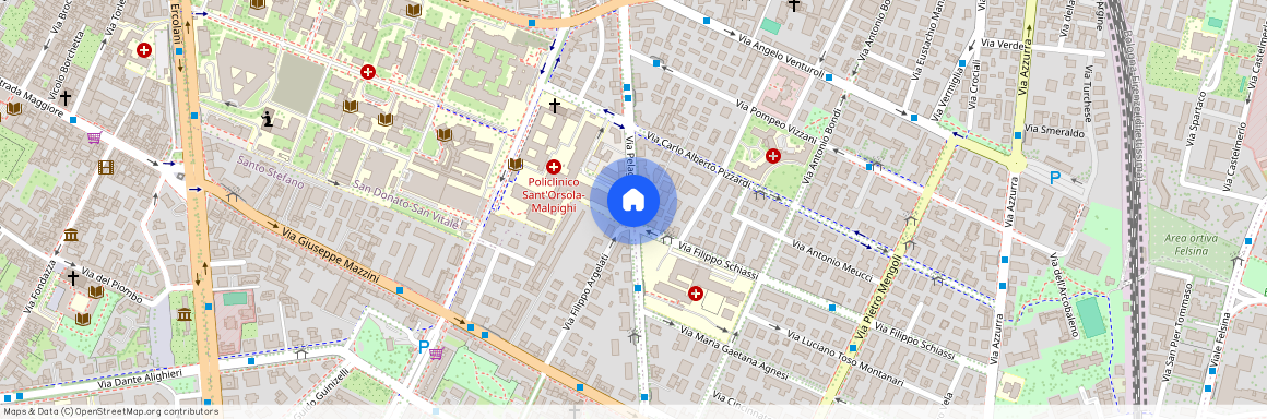 Via Pelagio Palagi, Bologna, Emilia-Romagna 40138