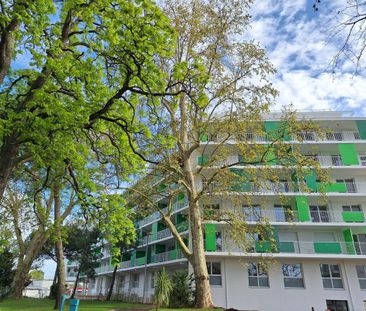 Location Appartement 2 pièces 43m² TALENCE 33400 - Photo 6