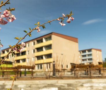 Bergsgatan 29 A - Photo 2