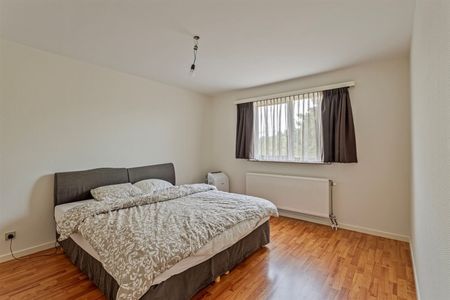 Te huur: 2-slaapkamer appartement in Ranst - Foto 5