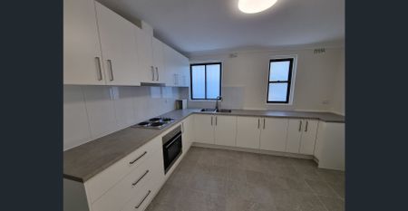 Charming Renovated Semi Cottage in Sought-After Dulwich Hill - Photo 3