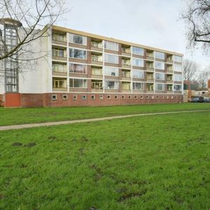 Leverkruidweg 0ong, 1508 WP Zaandam, Nederland - Foto 3