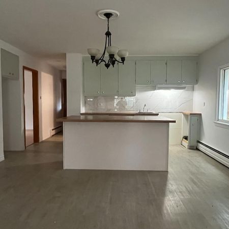 Grand 5 1/2 à louer - Chauffage et eau chaude inclus - Photo 3