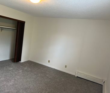2 Bedroom Suite, Small Pet Friendly, Insuite WASHER/DRYER!! - Photo 4