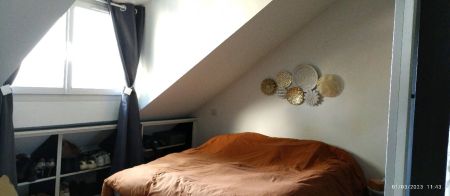 Appartement 2 pièces à Nantes - Photo 3