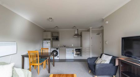 Furnished One Bedroom Apartment - Photo 2