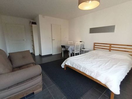 Appartement 1 pièce - 69160 Tassin-la-Demi-Lune - Photo 5