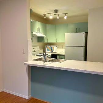 2-Bedroom, 2-Bathroom Downtown Duplex by the Lake - Photo 1