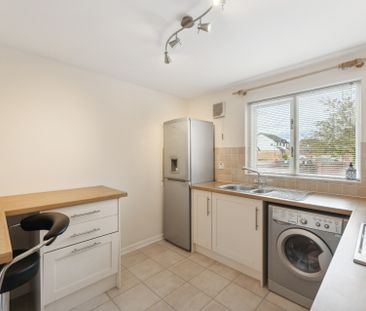 Muirhead Avenue - Photo 6