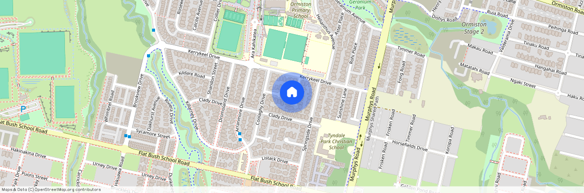 9 Sunglade Grove, Flat Bush, Manukau City