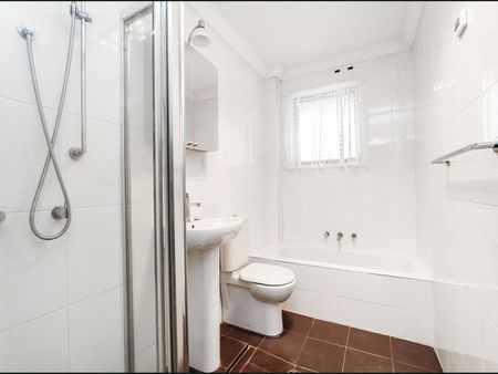 Oversized Two-Bedroom Apartment - Photo 4