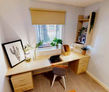 Platinum En Suite - Photo 3