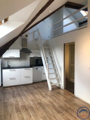 Location Appartement 1 pièce 25m² TOURS 37000 - Photo 3
