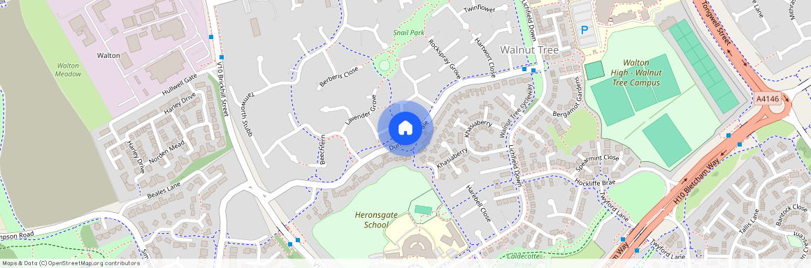 Lavender Grove, Walnut Tree