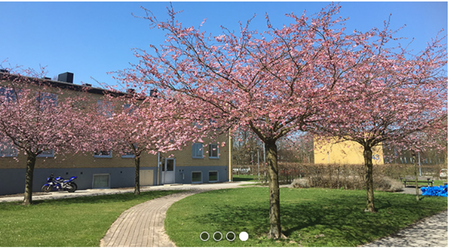 Norrevångsgatan 39 A, Vellinge - Foto 5