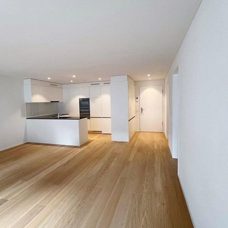 New, modern 2.5-room apartment, 6410 Goldau First rental - Foto 1
