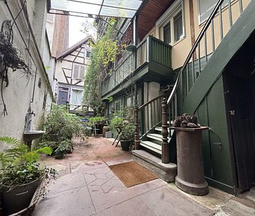 Un 3 pièces en plein quartier de la Krutenau / rue de la Krutenau - Photo 4