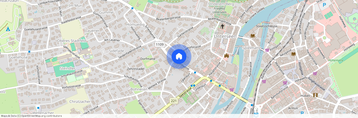 3800, Unterseen, Freihofstrasse, 39