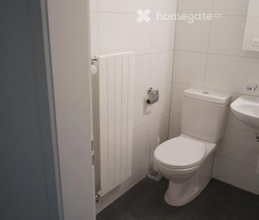 Neu renoviert, Nähe Bhf. Olten, ruhig, in grüner Umgebung, - Photo 6