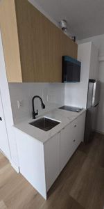 1 CH - 1 SDB - Montréal - $1,190 /mo - Photo 3