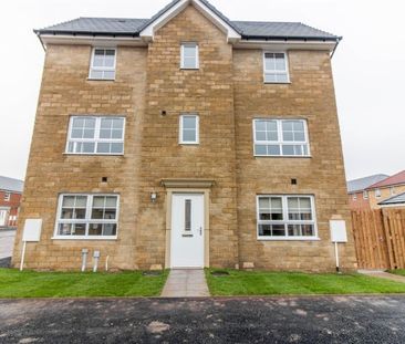 3 Bedroom House - Semi-Detached - Photo 4