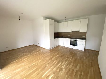 Gartenwohnung mit Car- und E-Bike Sharing Möglichkeit…! - Photo 5